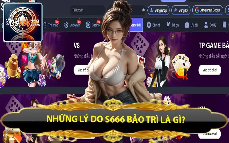 nhung ly do s666 bao tri la gi