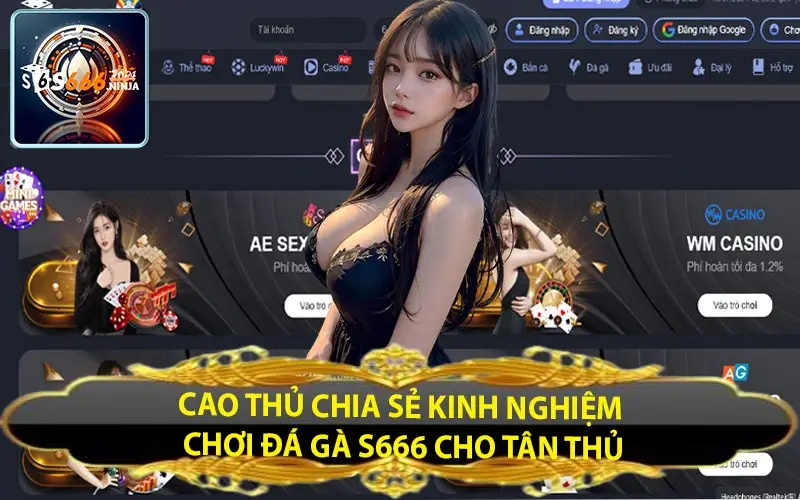 cao thu chia se kinh nghiem choi da ga s666 cho tan thu