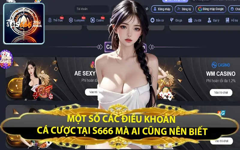 mot so cac dieu khoan ca cuoc tai s666 ma ai cung nen biet