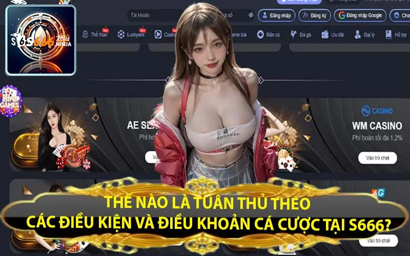 the nao la tuan thu theo cac dieu kien va dieu khoan ca cuoc tai s666